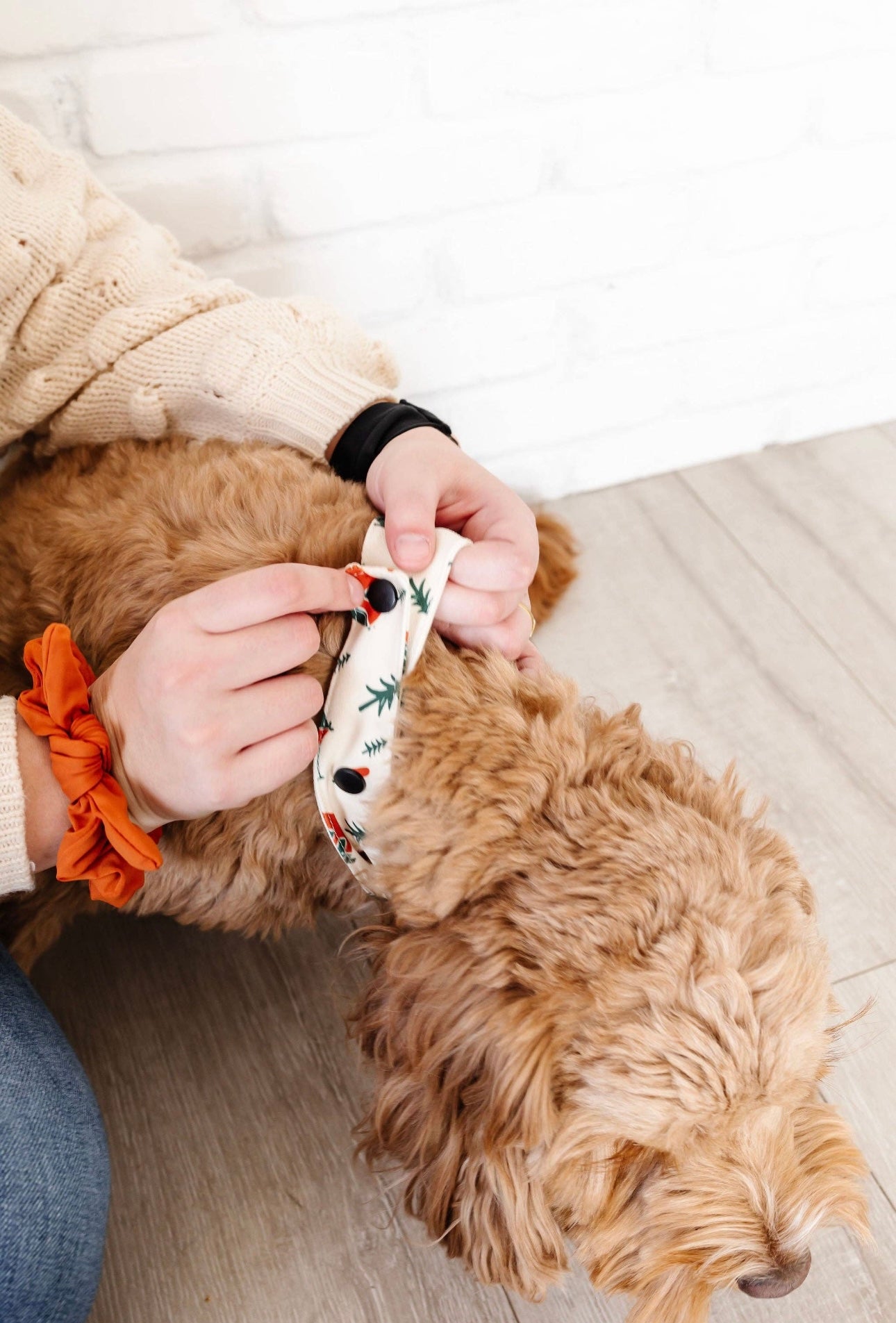 PORTER CAMPOUT PET BANDANA image 5