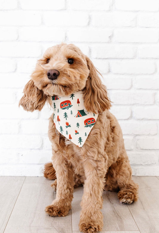 PORTER CAMPOUT PET BANDANA  image 0